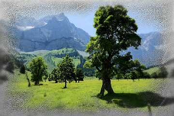 004 Handmade ARKI-Tec 2025 II